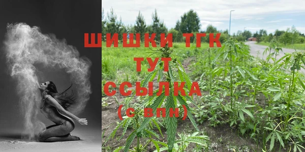 метадон Сафоново