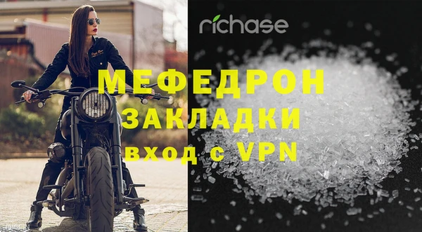 прущие грибы Саяногорск